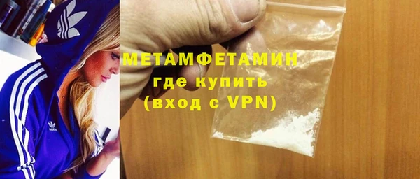 сатива Губаха