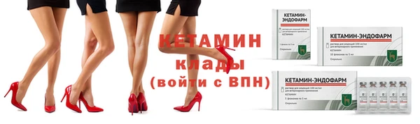 сатива Губаха