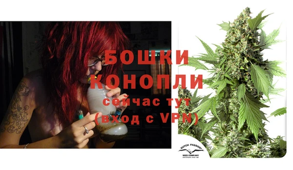 дживик Верея