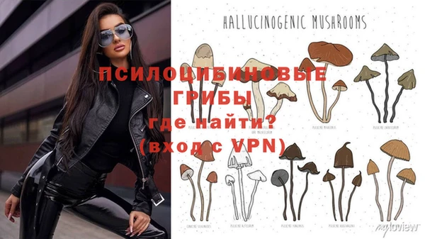 сатива Верхний Тагил