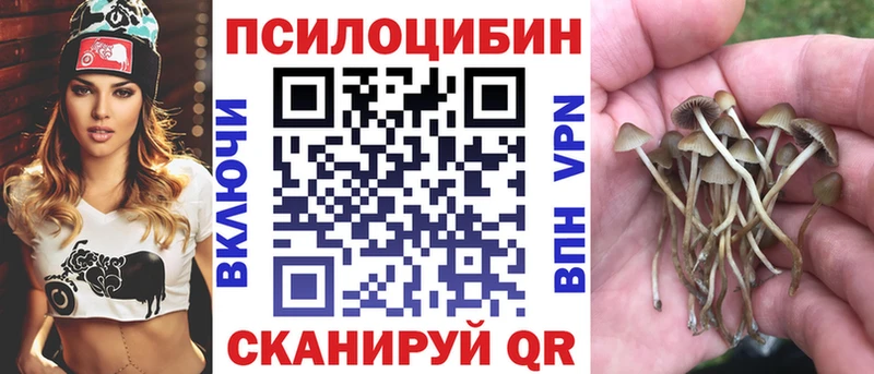 Купить где  Вятские Поляны  Псилоцибиновые грибы Psilocybe 